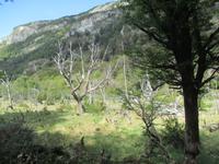 IMG 9415