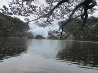IMG 9578