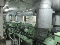 IMG 9596