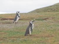 IMG 9620