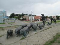 IMG 9659
