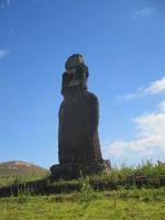 IMG 9710