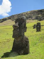 IMG 9778