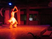 IMG 9814