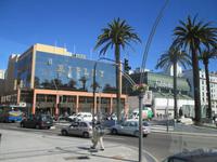 IMG 9886