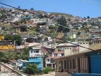 IMG 9917