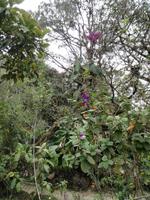 IMG_20180315_100308