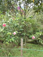 IMG_20180315_100324