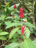 IMG_20180315_100502