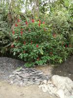 IMG_20180315_100529