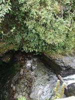 IMG_20180315_101110