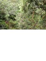 IMG_20180315_101113