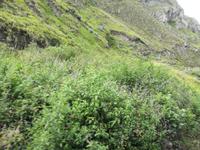 IMG_20180316_083545