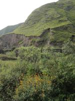 IMG_20180316_083922