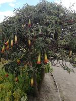 IMG_20180316_145717