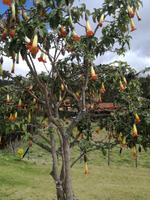 IMG_20180316_150204