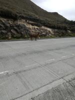 IMG_20180317_130440