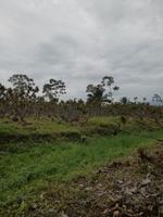 IMG_20180317_155827