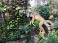 IMG_20180317_175326