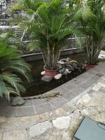 IMG_20180317_180926