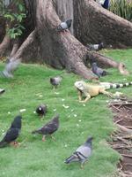 IMG_20180317_181406