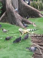 IMG_20180317_181408