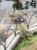 IMG_20180317_181955