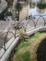 IMG_20180317_182008