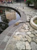 IMG_20180317_182145