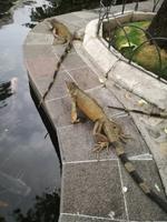IMG_20180317_182304