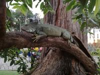 IMG_20180317_182545
