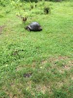 IMG_20180318_124540