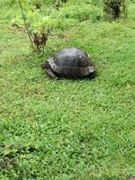 IMG_20180318_124546