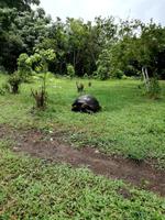 IMG_20180318_124614