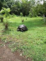 IMG_20180318_124651