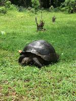 IMG_20180318_124659