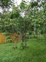 IMG_20180318_125354