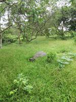 IMG_20180318_142438
