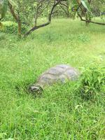 IMG_20180318_142443