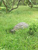 IMG_20180318_142445