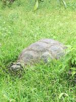 IMG_20180318_142455
