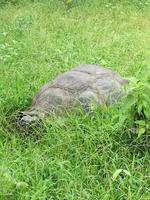 IMG_20180318_142456
