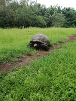 IMG_20180318_142703