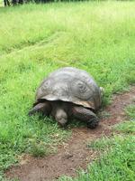 IMG_20180318_142713