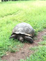 IMG_20180318_142716
