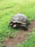 IMG_20180318_142723