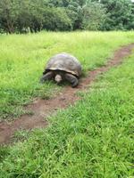 IMG_20180318_142750