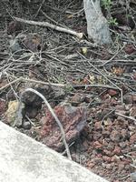 IMG_20180318_153834