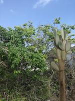 IMG_20180318_155508