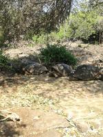 IMG_20180318_162403
